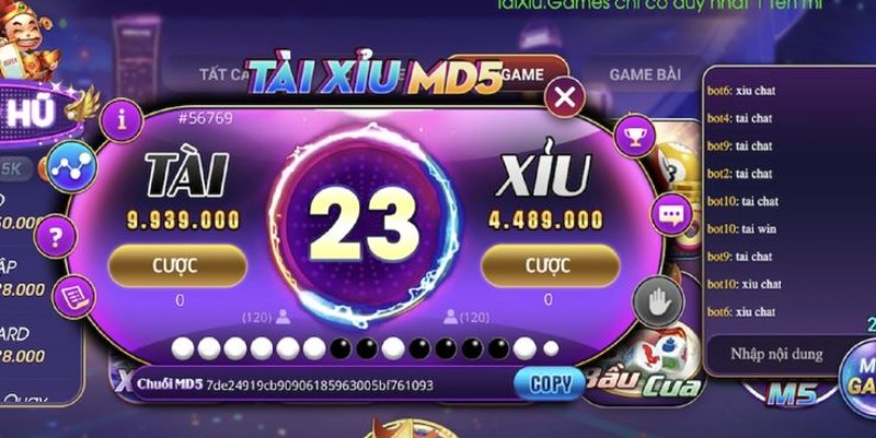 Thể loại cược phổ biến tại MD5